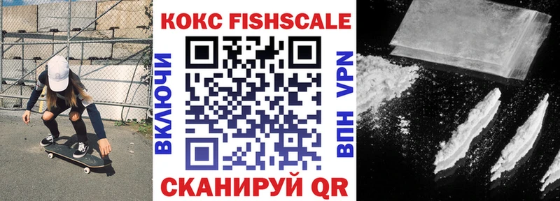 где можно купить   Болгар  Cocaine Эквадор 
