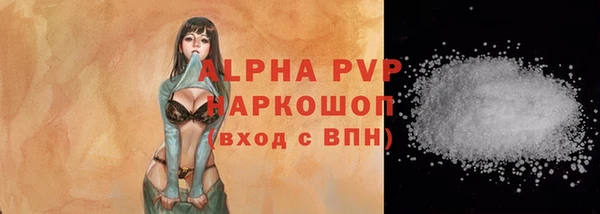 гашик Ростов