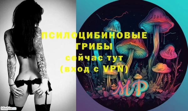 соль курить ск Арсеньев