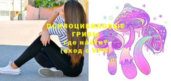 соль курить ск Арсеньев