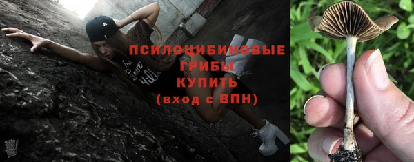 соль курить ск Арсеньев